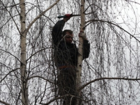 WYCINKI DRZEW WARSZAWA